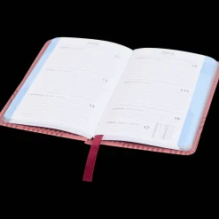 Action Agenda 2025* Agendas Et Calendriers