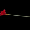 Action Amaryllis artificielle sur tige* Plantes Et Fleurs Artificielles