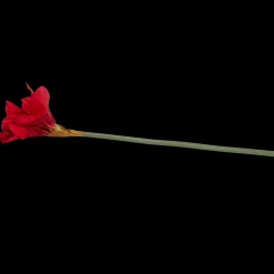 Action Amaryllis artificielle sur tige* Plantes Et Fleurs Artificielles