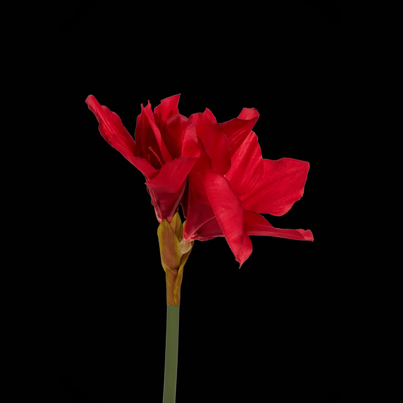 Action Amaryllis artificielle sur tige* Plantes Et Fleurs Artificielles