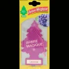 Arbre Magique * Accessoires Automobiles