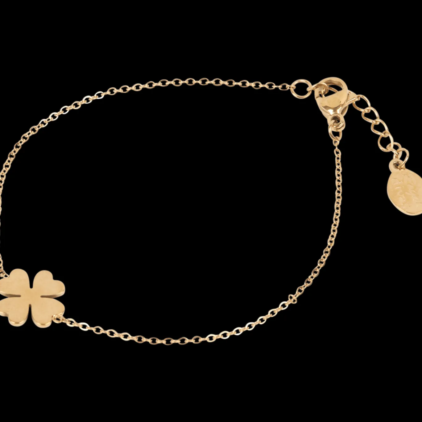 Action Bracelet en acier inoxydable Royal Divas* Montres Et Bijoux