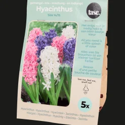 Action Bulbes à fleurs* Semis Et Plantes