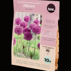 Action Bulbes à fleurs* Semis Et Plantes