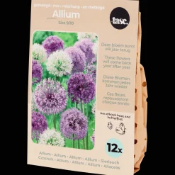 Action Bulbes à fleurs* Semis Et Plantes