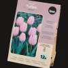 Action Bulbes de tulipe* Semis Et Plantes
