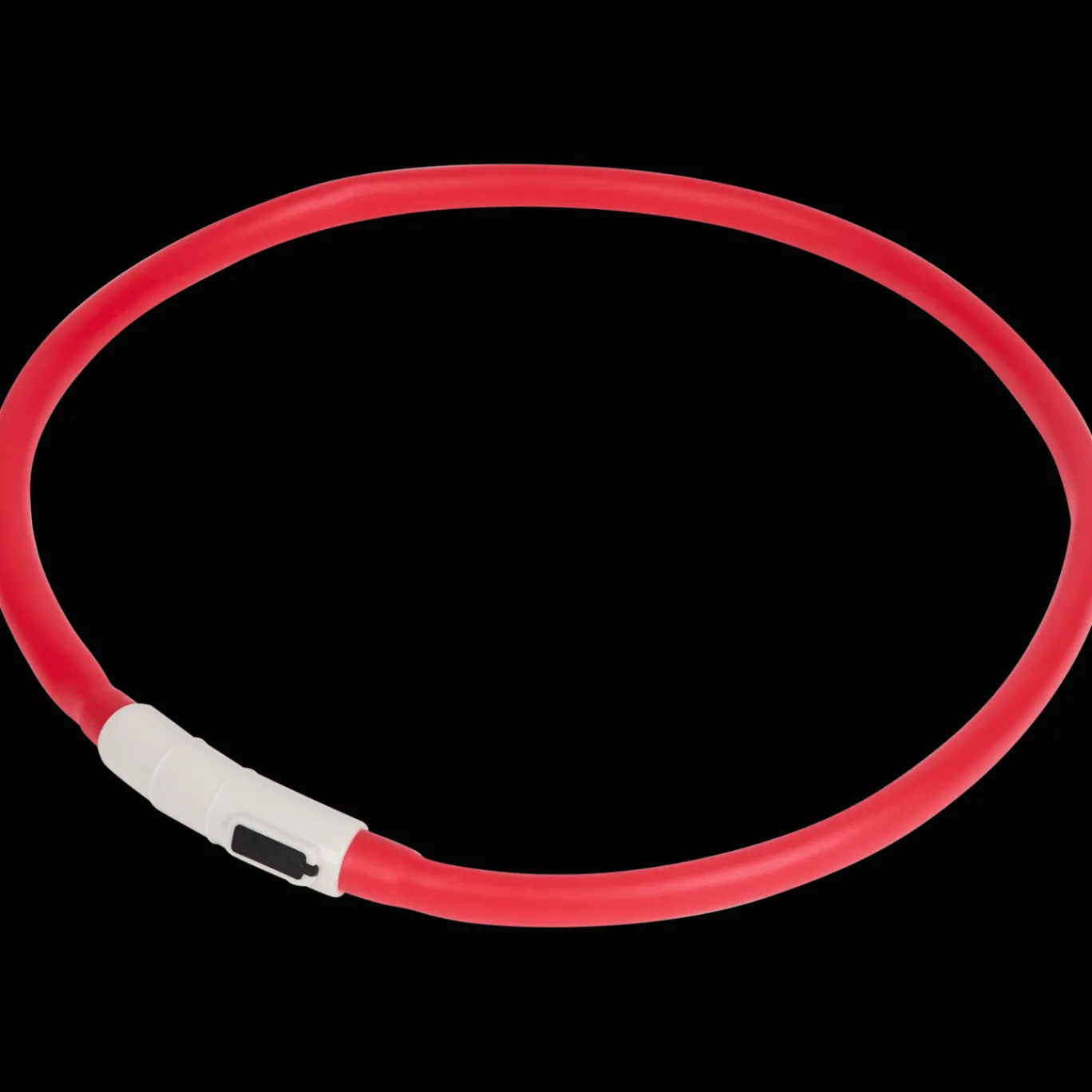 Action Collier LED rechargeable pour chien* Accessoires Pour Animaux Domestiques