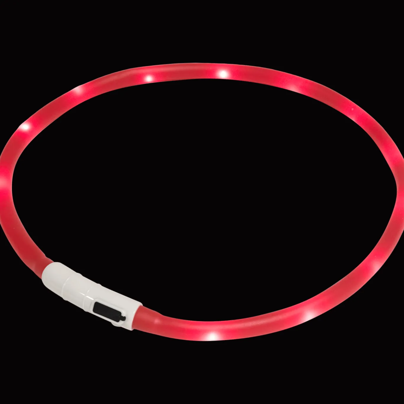 Action Collier LED rechargeable pour chien* Accessoires Pour Animaux Domestiques