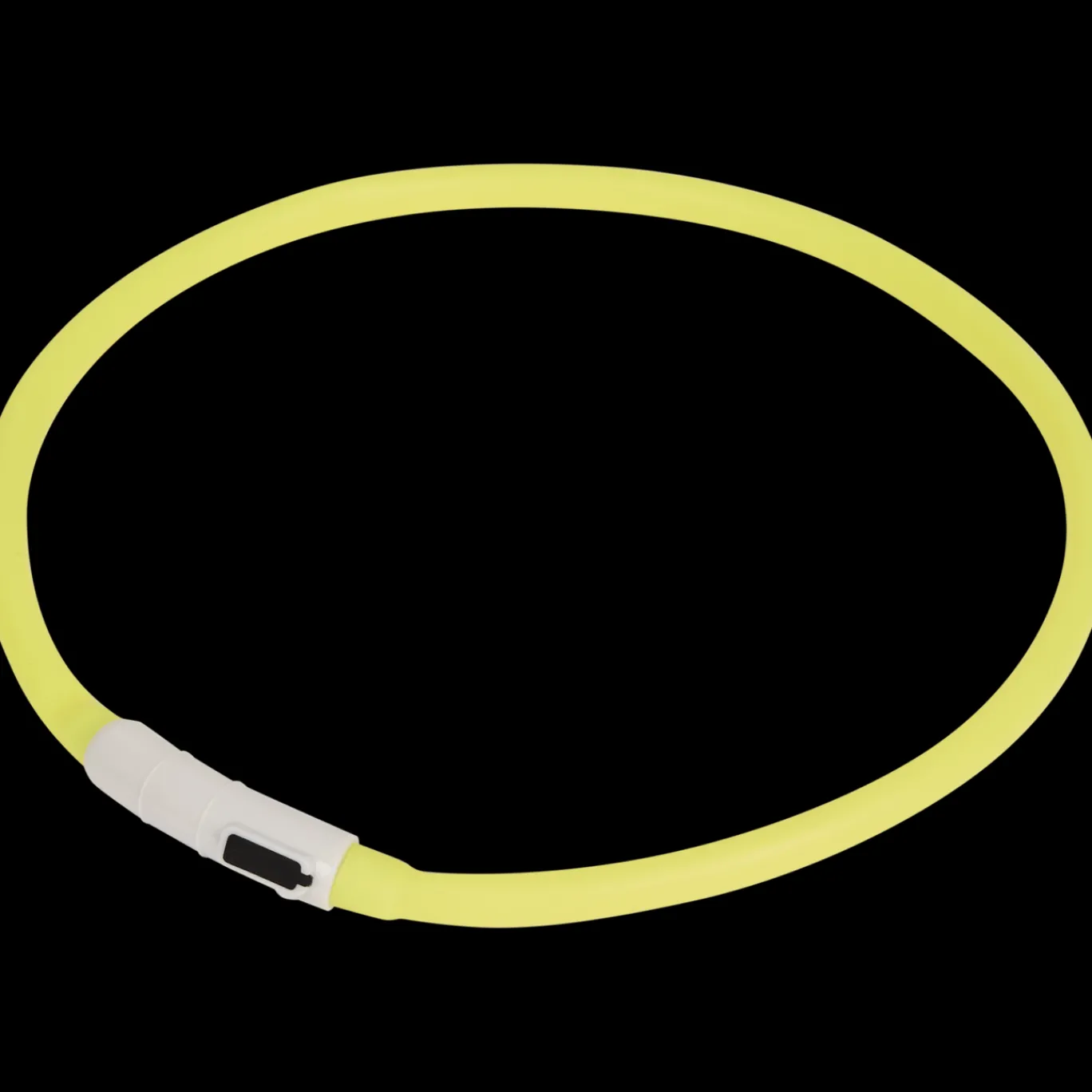 Action Collier LED rechargeable pour chien* Accessoires Pour Animaux Domestiques