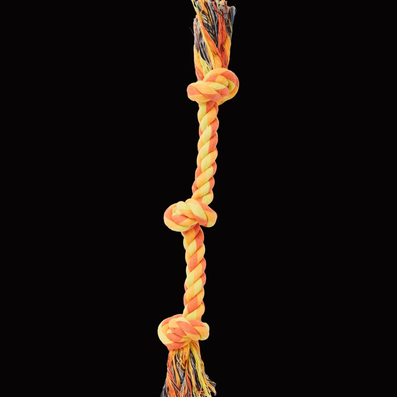 Action Corde jouet pour chien Beasty* Jouets