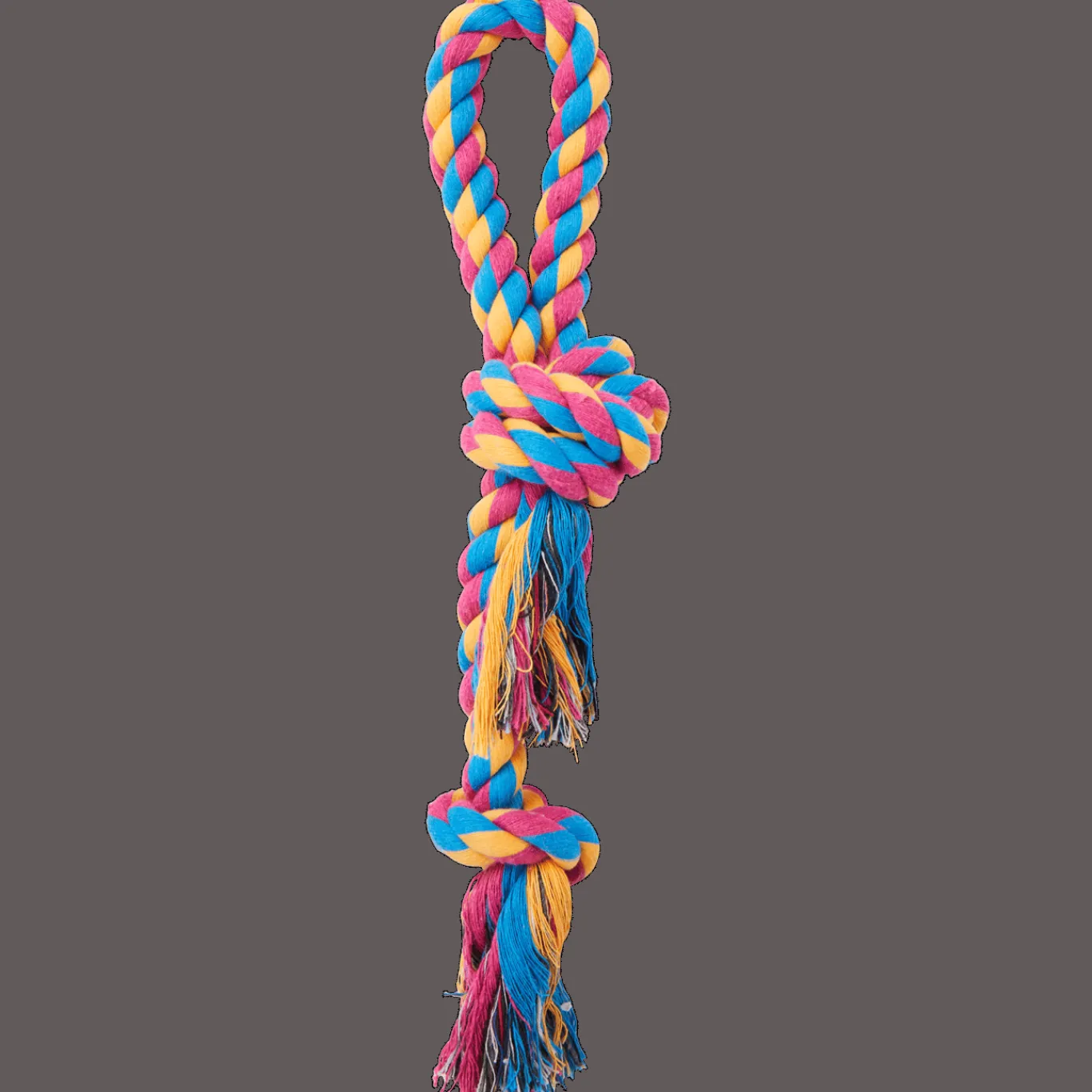 Action Corde jouet pour chien Beasty* Jouets