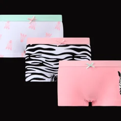 Action Culottes hipsters* Sous-Vêtements