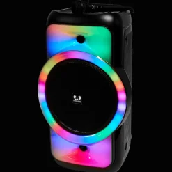 Fresh ’n Rebel Enceinte de soirée sans fil avec micro* Accessoires Multimédia