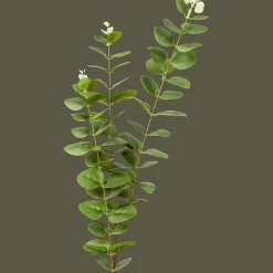 Action Eucalyptus artificiel sur tige Excellent Flowers* Plantes Et Fleurs Artificielles
