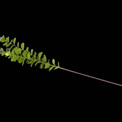 Action Eucalyptus artificiel sur tige Excellent Flowers* Plantes Et Fleurs Artificielles