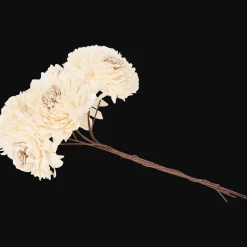 Action Fleurs séchées* Plantes Et Fleurs Artificielles