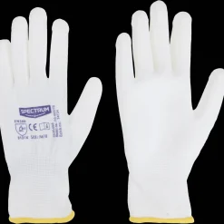 Spectrum Gants de peinture* Outils
