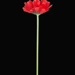 Action Gerbera artificiel* Plantes Et Fleurs Artificielles
