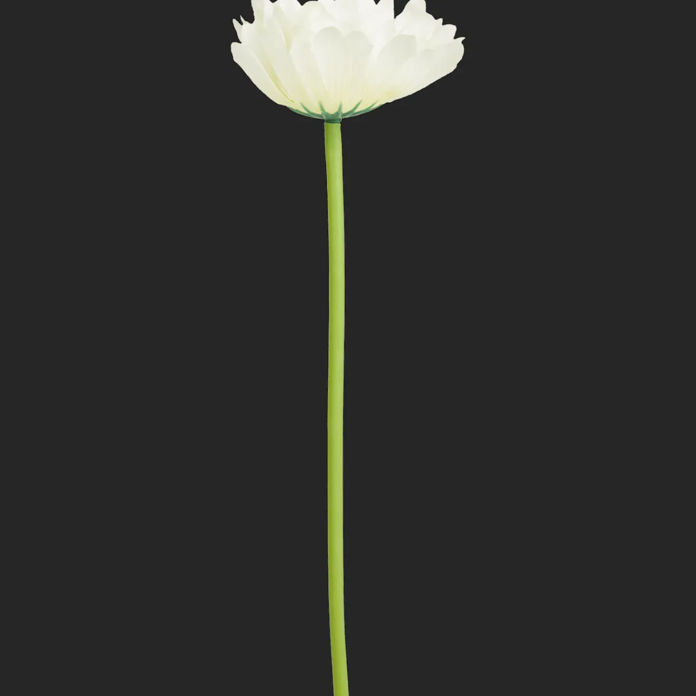 Action Gerbera artificiel* Plantes Et Fleurs Artificielles