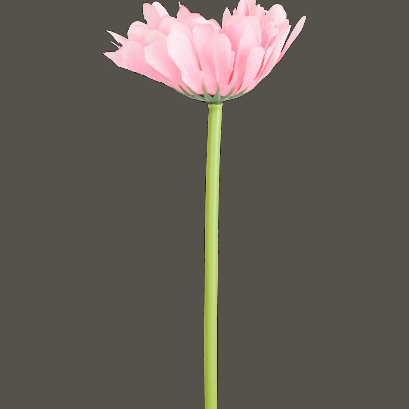 Action Gerbera artificiel* Plantes Et Fleurs Artificielles