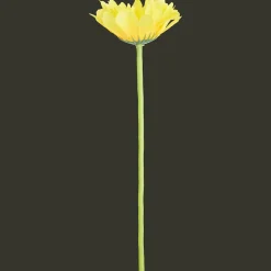 Action Gerbera artificiel* Plantes Et Fleurs Artificielles