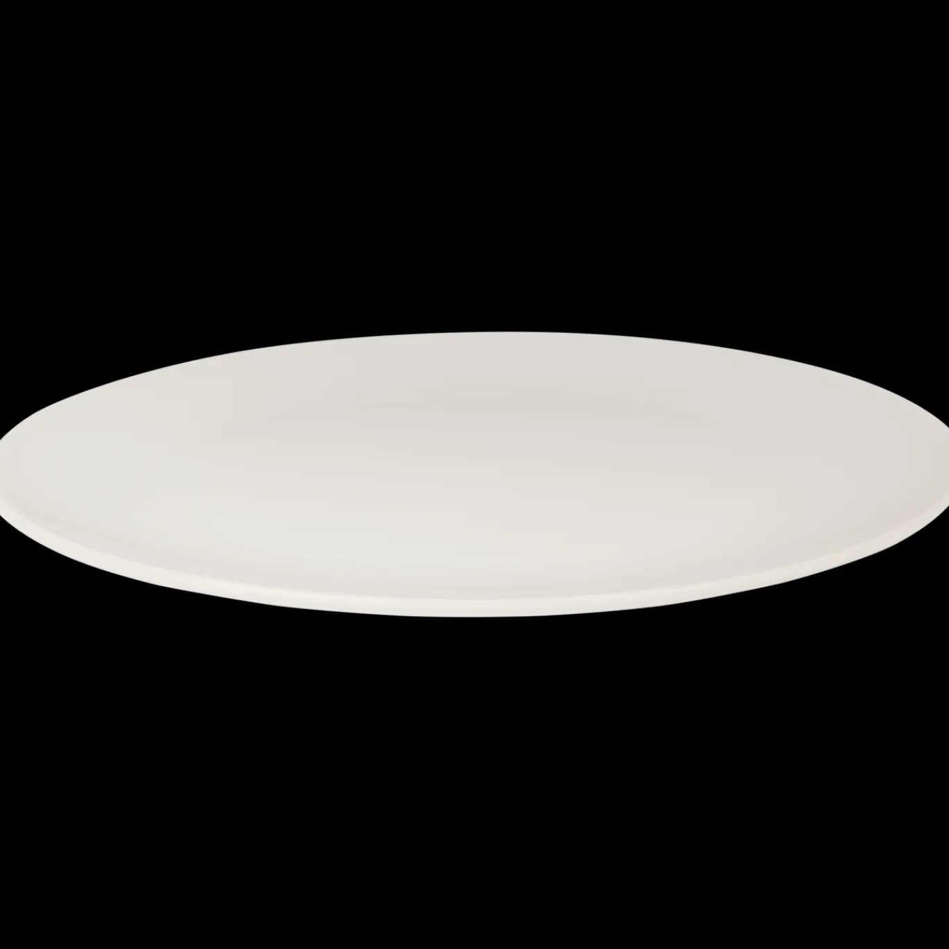 Action Grande assiette Infinity* Services