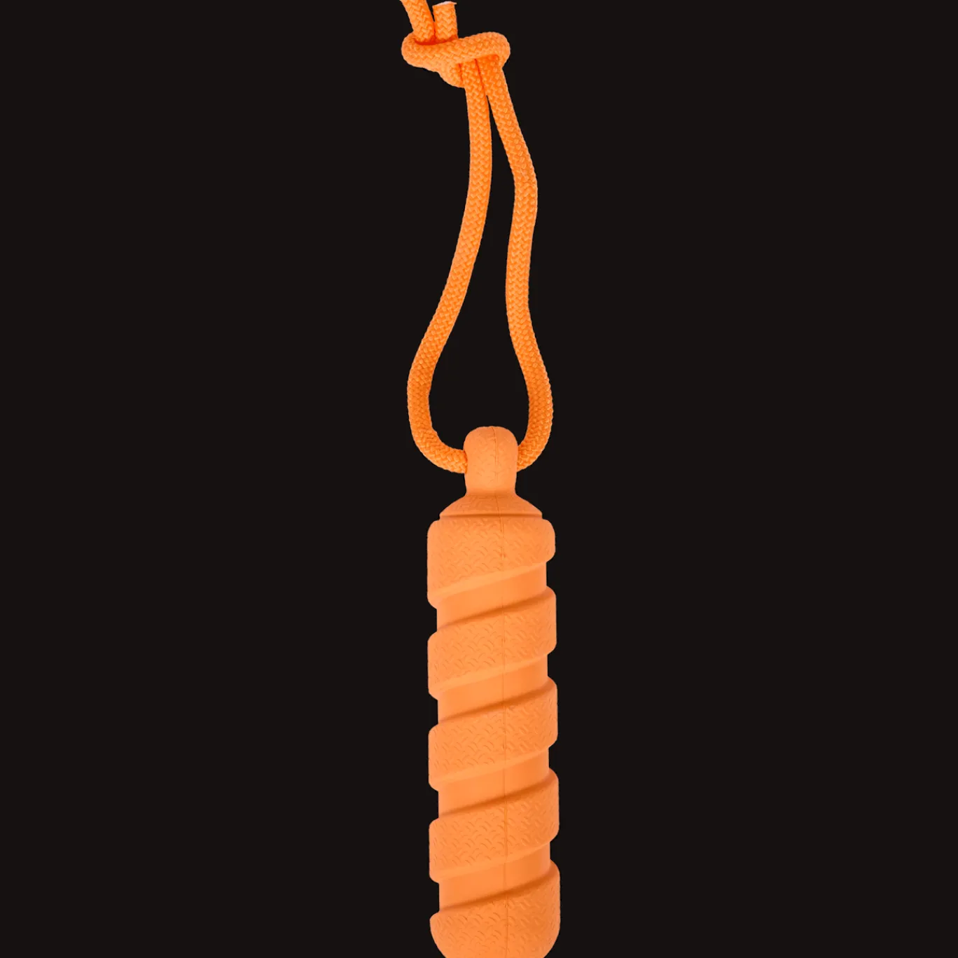 Action Jouet pour chien* Jouets