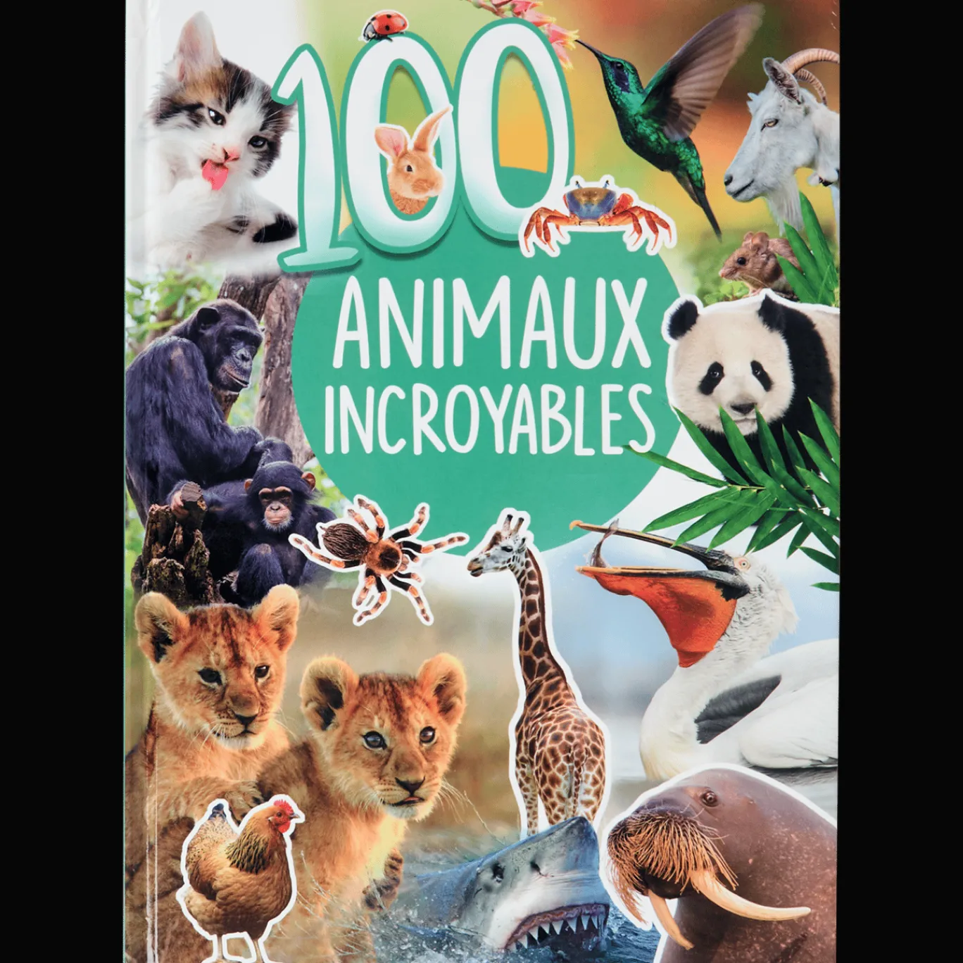 Action Livre découverte des animaux* Coloriage Et Dessin