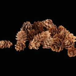 Action Mélange d'éléments naturels Home Accents* Accessoires Pour La Maison