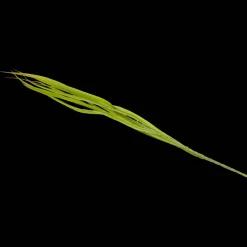 Action Panache artificiel* Plantes Et Fleurs Artificielles