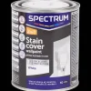 Spectrum Peinture murale blanche 2 en 1 Masque-taches* Peinture