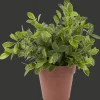 Action Plante aromatique dans pot* Plantes Et Fleurs Artificielles