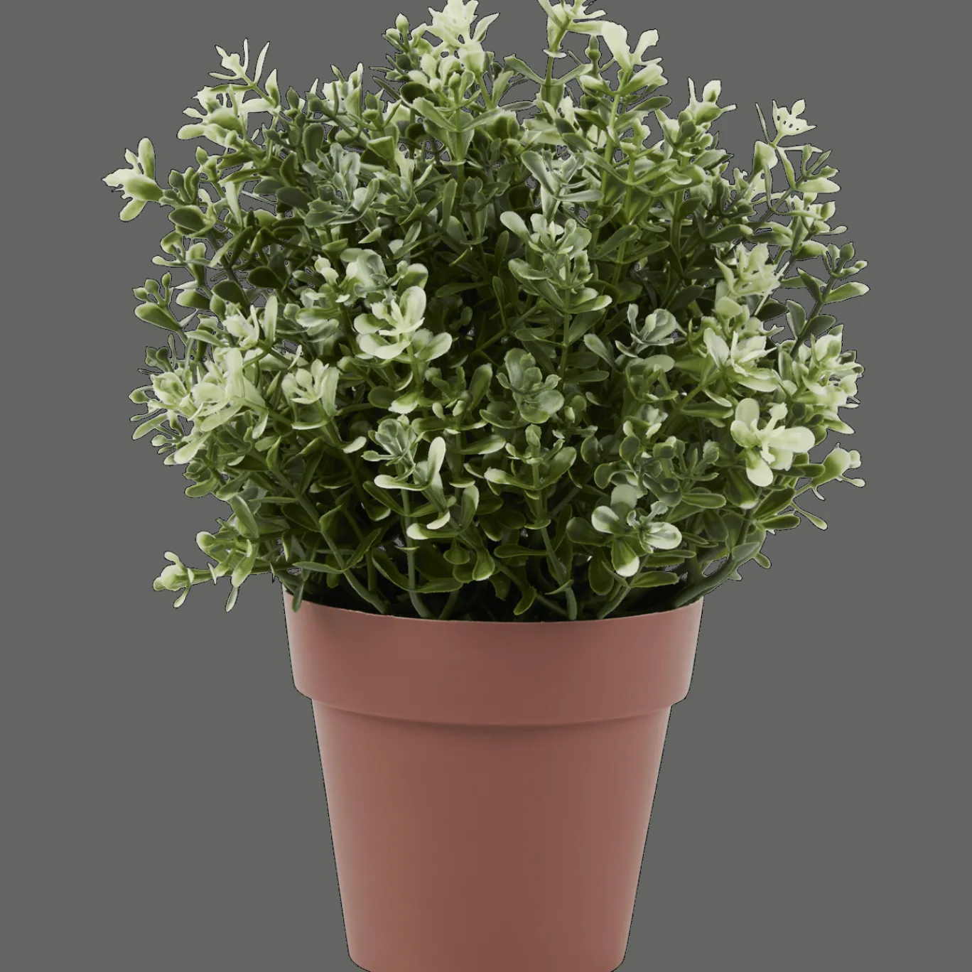 Action Plante aromatique dans pot* Plantes Et Fleurs Artificielles