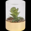 Action Plante grasse artificielle dans un terrarium* Plantes Et Fleurs Artificielles