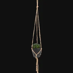 Action Plante grasse artificielle dans un pot suspendu* Plantes Et Fleurs Artificielles