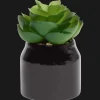 Action Plante grasse artificielle en pot Home Accents* Plantes Et Fleurs Artificielles