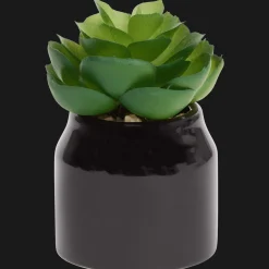Action Plante grasse artificielle en pot Home Accents* Plantes Et Fleurs Artificielles