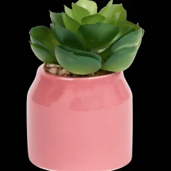 Action Plante grasse artificielle en pot Home Accents* Plantes Et Fleurs Artificielles