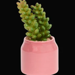 Action Plante grasse artificielle en pot Home Accents* Plantes Et Fleurs Artificielles