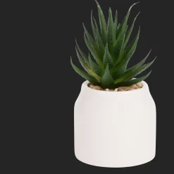 Action Plante grasse artificielle en pot Home Accents* Plantes Et Fleurs Artificielles