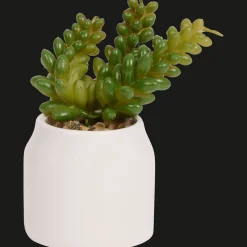 Action Plante grasse artificielle en pot Home Accents* Plantes Et Fleurs Artificielles