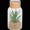 Action Plante grasse dans un terrarium* Plantes Et Fleurs Artificielles