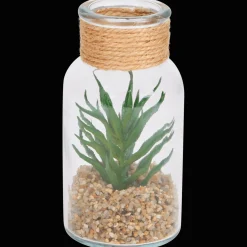 Action Plante grasse dans un terrarium* Plantes Et Fleurs Artificielles