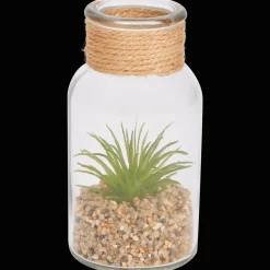 Action Plante grasse dans un terrarium* Plantes Et Fleurs Artificielles