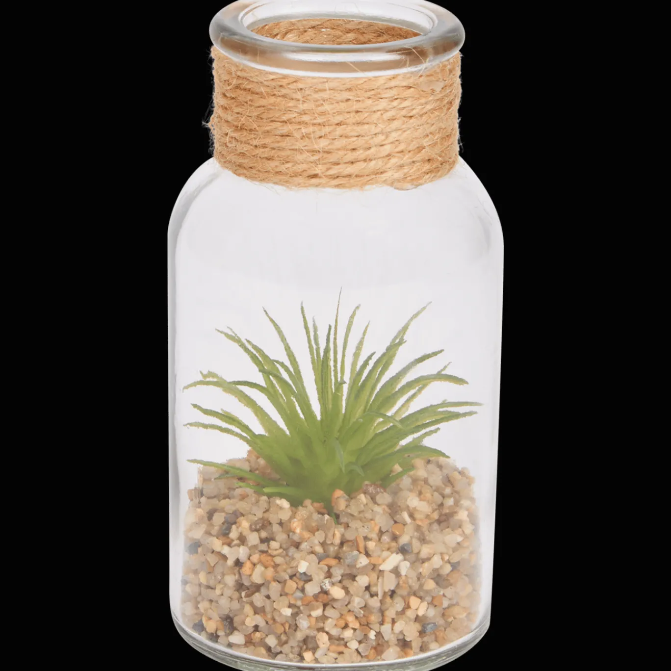 Action Plante grasse dans un terrarium* Plantes Et Fleurs Artificielles
