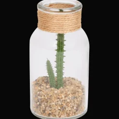 Action Plante grasse dans un terrarium* Plantes Et Fleurs Artificielles