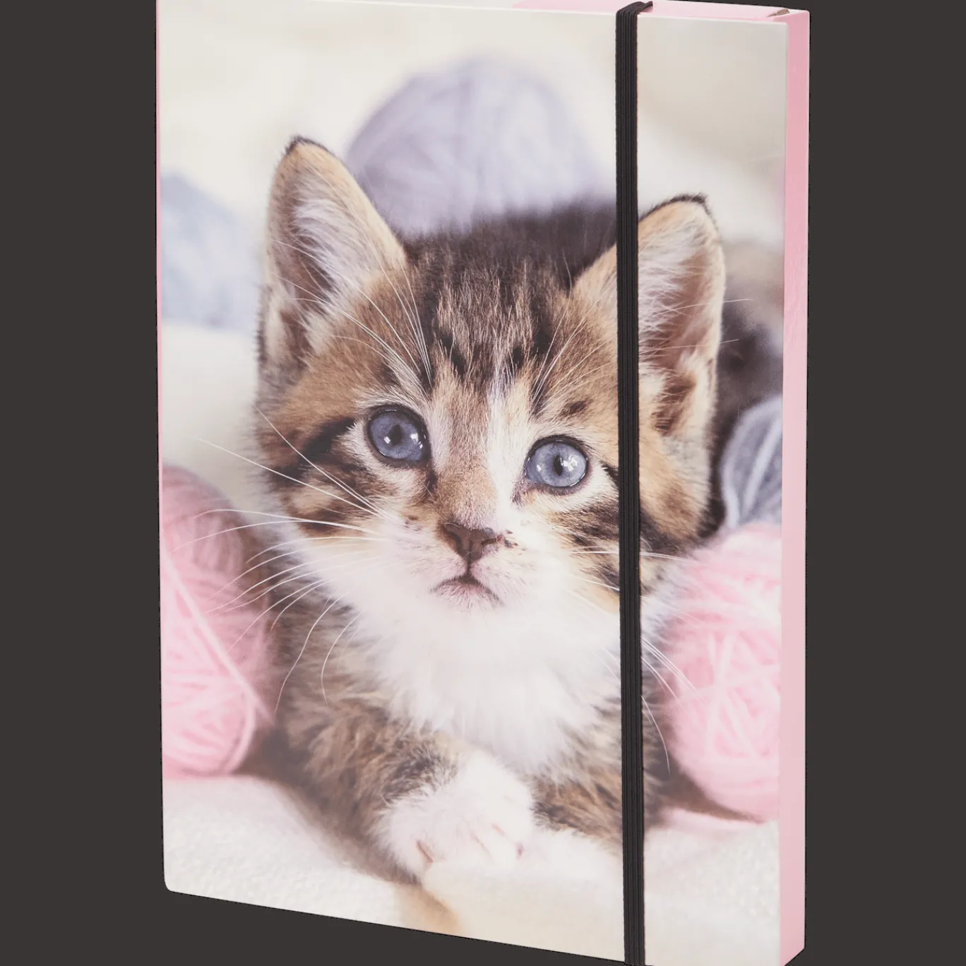 Action Pochette cartonnée épaisse A4* Chemises