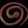Action Serpent* Figurines Et Sets