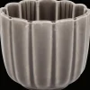 Action Tasse Lotus* Services