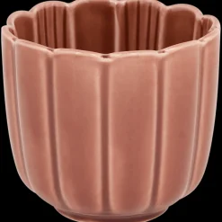 Action Tasse Lotus* Services